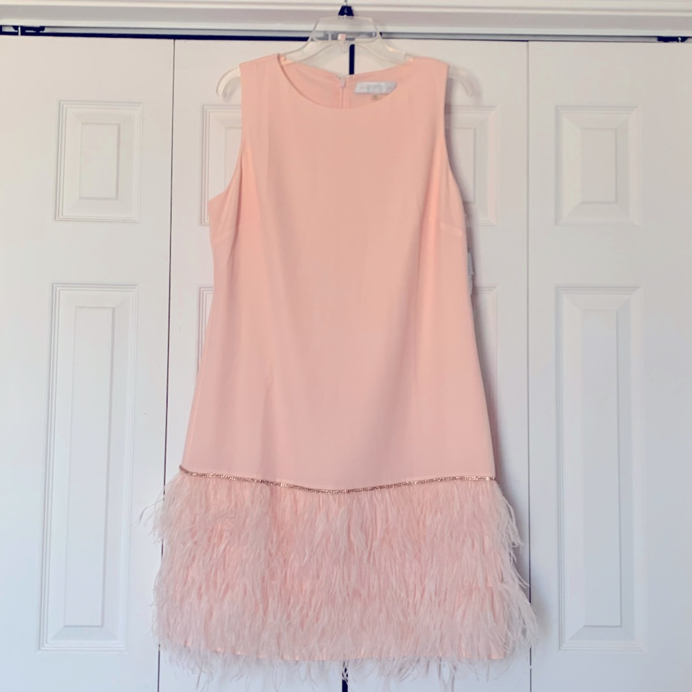 NWT Tahari blush pink feather dress